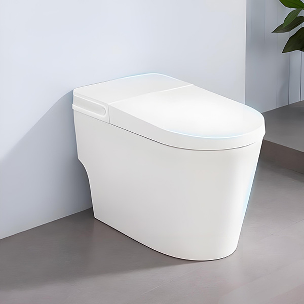 14 White Smart Toilets