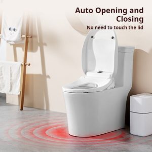 Hygienic Toilet Seat for Families