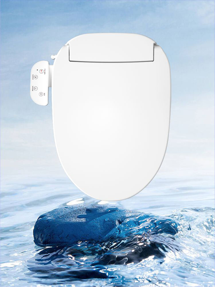 basics 2 Washlet toilet seat
