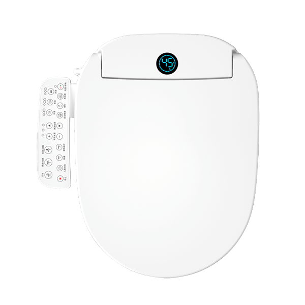 electric toilet