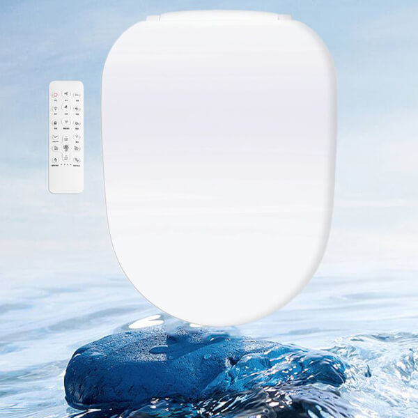 smart bidet with remote