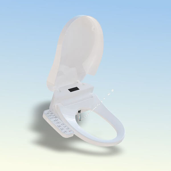 toilet with bidet shower